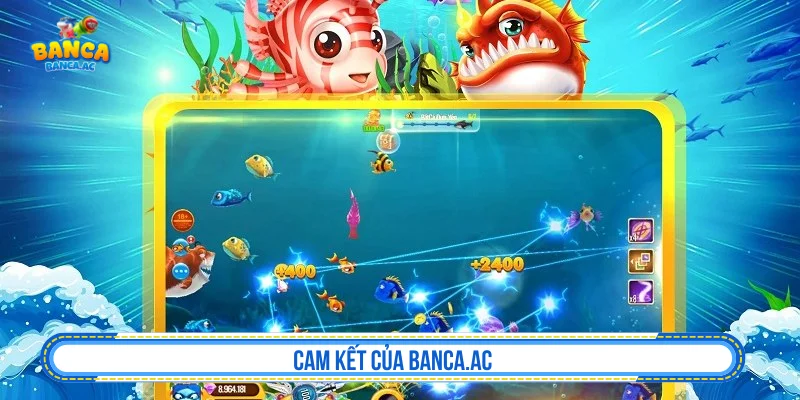 Vai trò của Hydramist.tv trong việc khuyến khích chơi có trách nhiệm
