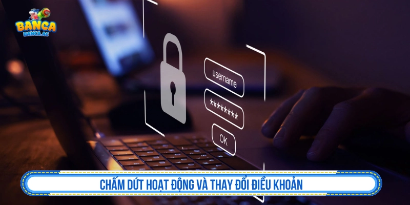 Thay đổi và chấm dứt quyền sử dụng tại Hydramist.tv